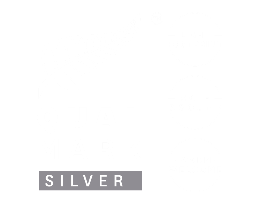 qualmark silver transparent logo